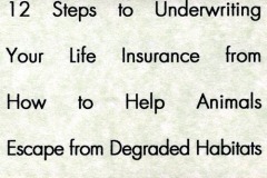 12 STEPS TO UNDERWRITING YOUR LIFE INSURANCE: