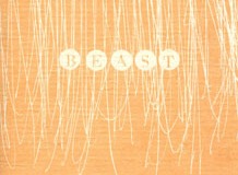 BEAST, 2005