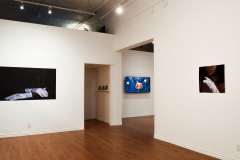 Stride-Gallery-Dec-2021-06-min