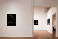 Stride-Gallery-Dec-2021-29-min