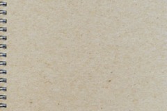 NAME AND FAMILY NAME, 1992