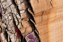 Ornament-and-Crime-11