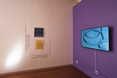 Ornament-and-Crime-14