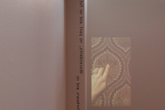 Ornament-and-Crime-20