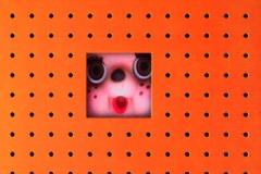 SCIENCE BOY AND THE GOLDEN AGE, 2005