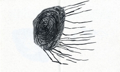 slip_500_2