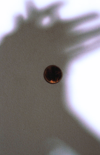 peephole shaded lr