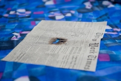 Twinckle-Banerjee-02